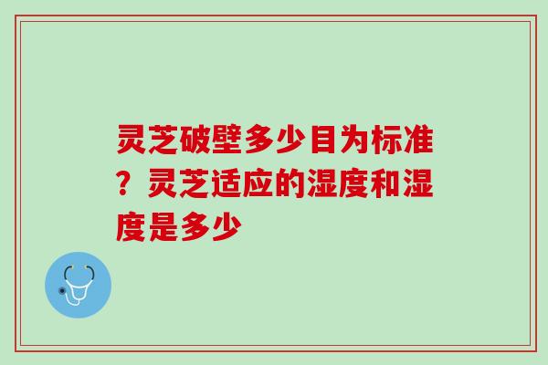 灵芝破壁多少目为标准？灵芝适应的湿度和湿度是多少