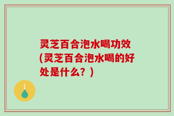灵芝百合泡水喝功效 (灵芝百合泡水喝的好处是什么？)