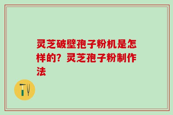 灵芝破壁孢子粉机是怎样的？灵芝孢子粉制作法