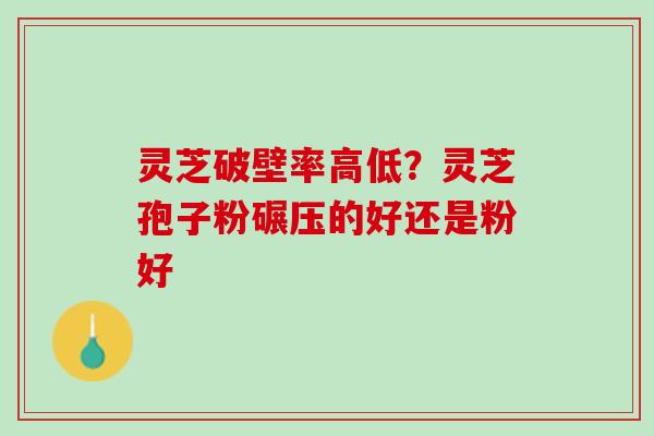 灵芝破壁率高低？灵芝孢子粉碾压的好还是粉好