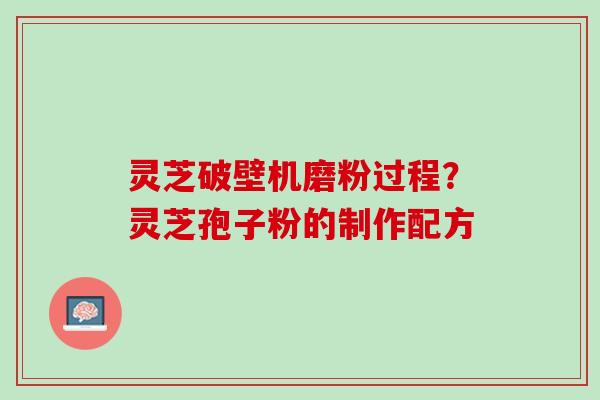 灵芝破壁机磨粉过程？灵芝孢子粉的制作配方
