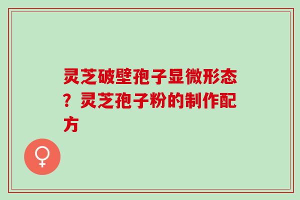 灵芝破壁孢子显微形态？灵芝孢子粉的制作配方