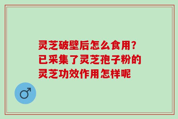 灵芝破壁后怎么食用？已采集了灵芝孢子粉的灵芝功效作用怎样呢