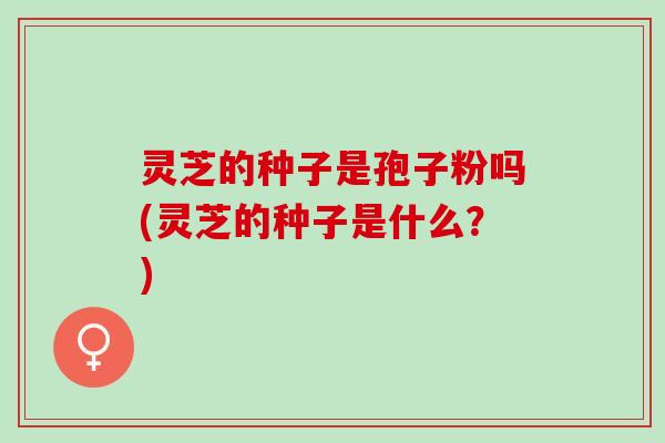 灵芝的种子是孢子粉吗(灵芝的种子是什么？)