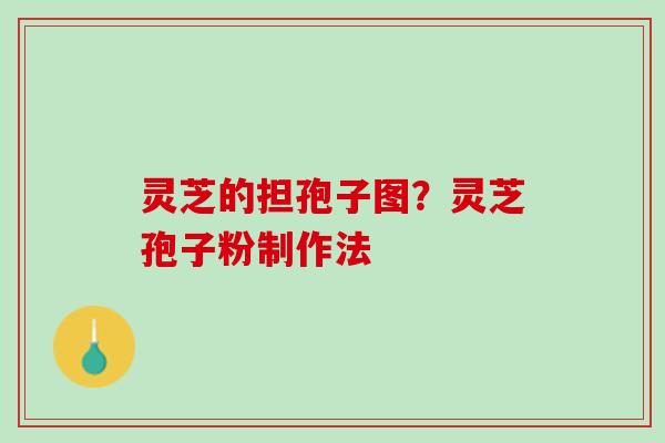 灵芝的担孢子图？灵芝孢子粉制作法