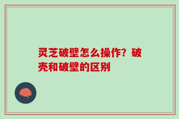 灵芝破壁怎么操作？破壳和破壁的区别