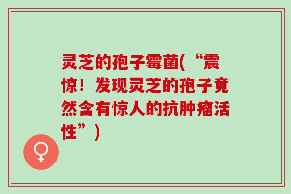 灵芝的孢子霉菌(“震惊!发现灵芝的孢子竟然含有惊人的抗活性”) 灵芝的孢子霉菌(“震惊!发现灵芝的孢子竟然含有惊人的抗活性”)