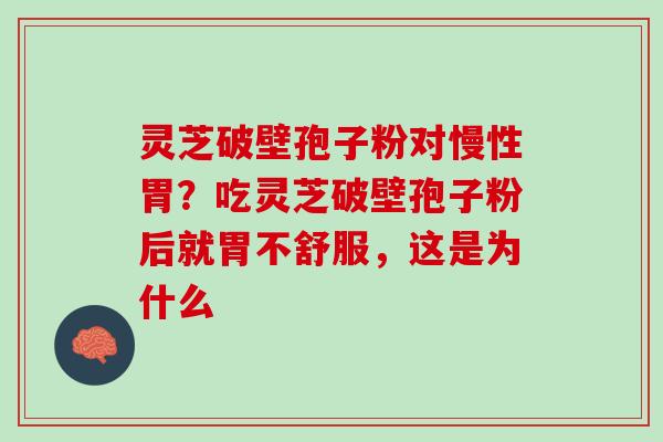 灵芝破壁孢子粉对慢性胃?吃灵芝破壁孢子粉后就胃不舒服,这是为什么 灵芝破壁孢子粉对慢性胃?吃灵芝破壁孢子粉后就胃不舒服,这是为什么