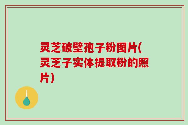 灵芝破壁孢子粉图片(灵芝子实体提取粉的照片)