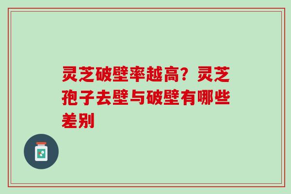 灵芝破壁率越高？灵芝孢子去壁与破壁有哪些差别