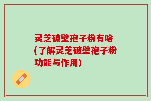 灵芝破壁孢子粉有啥 (了解灵芝破壁孢子粉功能与作用) 灵芝破壁孢子粉有啥 (了解灵芝破壁孢子粉功能与作用)