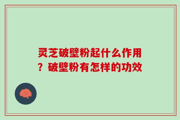 灵芝破壁粉起什么作用？破壁粉有怎样的功效