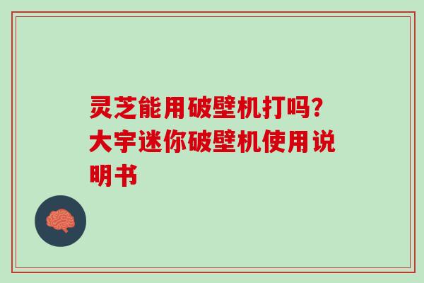 灵芝能用破壁机打吗？大宇迷你破壁机使用说明书