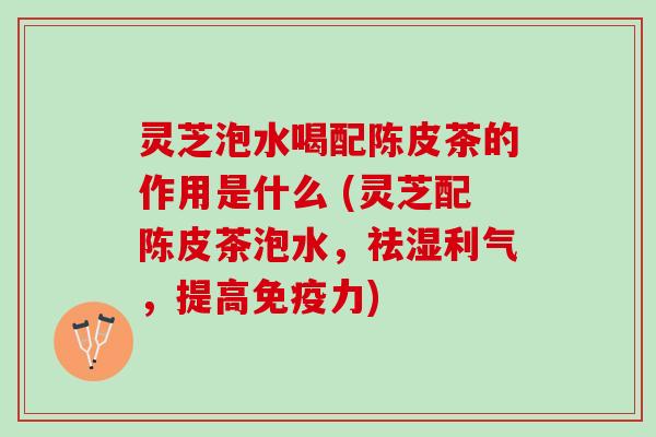 灵芝泡水喝配陈皮茶的作用是什么 (灵芝配陈皮茶泡水,祛湿利气,提高免疫力) 灵芝泡水喝配陈皮茶的作用是什么 (灵芝配陈皮茶泡水,祛湿利气,提高免疫力)
