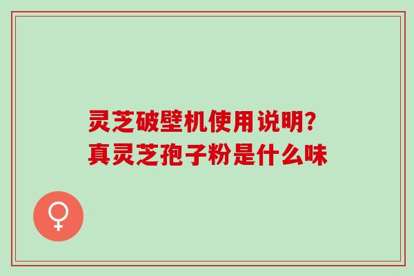 灵芝破壁机使用说明？真灵芝孢子粉是什么味