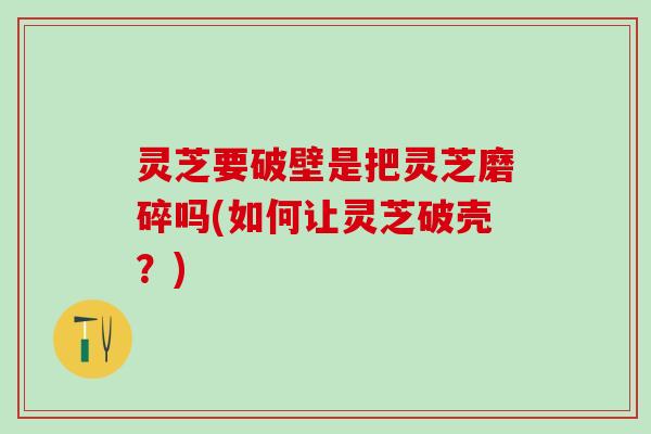 灵芝要破壁是把灵芝磨碎吗(如何让灵芝破壳？)