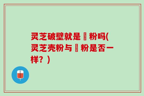 灵芝破壁就是礳粉吗(灵芝壳粉与礳粉是否一样？)