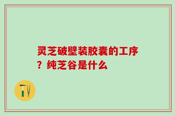 灵芝破壁装胶囊的工序?纯芝谷是什么 灵芝破壁装胶囊的工序?纯芝谷是什么