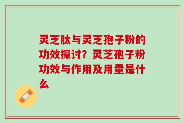 灵芝肽与灵芝孢子粉的功效探讨？灵芝孢子粉功效与作用及用量是什么