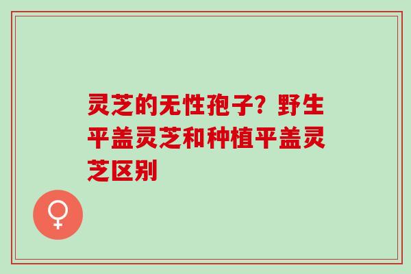灵芝的无性孢子？野生平盖灵芝和种植平盖灵芝区别
