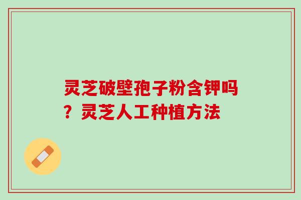 灵芝破壁孢子粉含钾吗？灵芝人工种植方法