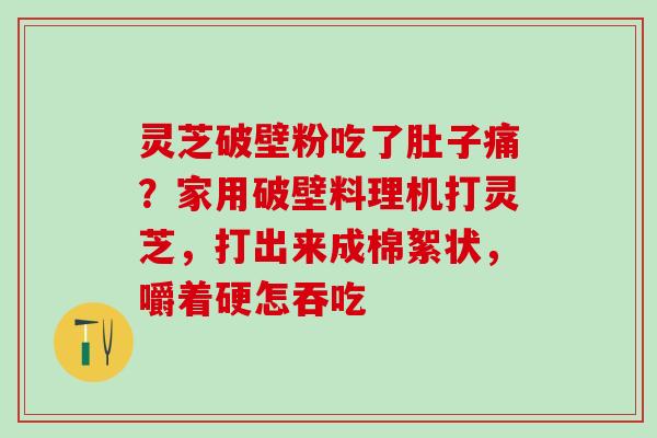 灵芝破壁粉吃了肚子痛？家用破壁料理机打灵芝，打出来成棉絮状，嚼着硬怎吞吃
