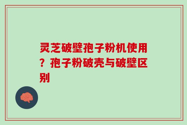 灵芝破壁孢子粉机使用？孢子粉破壳与破壁区别