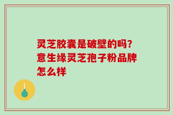 灵芝胶囊是破壁的吗?意生缘灵芝孢子粉品牌怎么样 灵芝胶囊是破壁的吗?意生缘灵芝孢子粉品牌怎么样