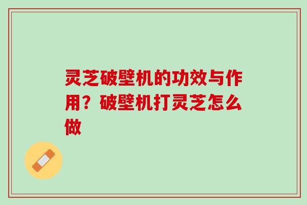 灵芝破壁机的功效与作用？破壁机打灵芝怎么做
