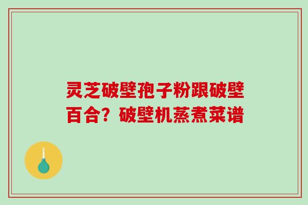 灵芝破壁孢子粉跟破壁百合？破壁机蒸煮菜谱