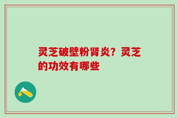 灵芝破壁粉肾炎？灵芝的功效有哪些
