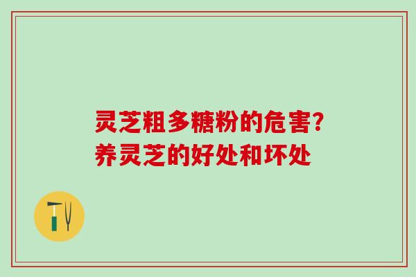 灵芝粗多糖粉的危害？养灵芝的好处和坏处