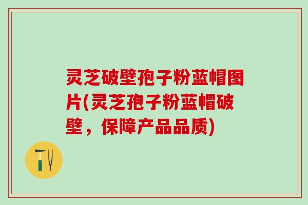 灵芝破壁孢子粉蓝帽图片(灵芝孢子粉蓝帽破壁，保障产品品质)