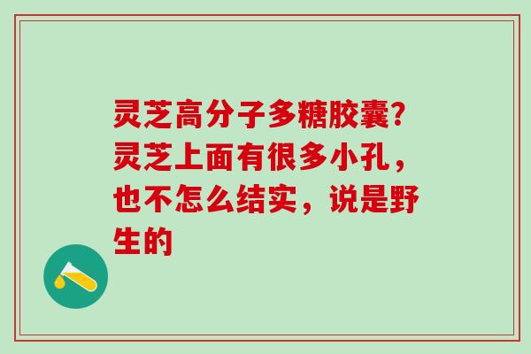 灵芝高分子多糖胶囊？灵芝上面有很多小孔，也不怎么结实，说是野生的