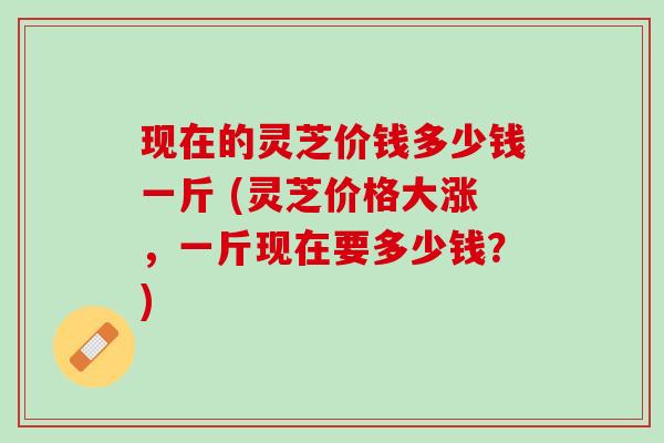 现在的灵芝价钱多少钱一斤 (灵芝价格大涨，一斤现在要多少钱？)