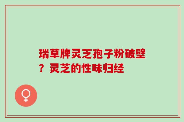 瑞草牌灵芝孢子粉破壁？灵芝的性味归经