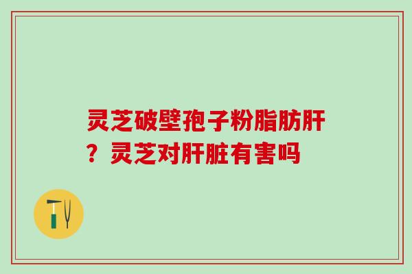 灵芝破壁孢子粉脂肪?灵芝对有害吗 灵芝破壁孢子粉脂肪?灵芝对有害吗