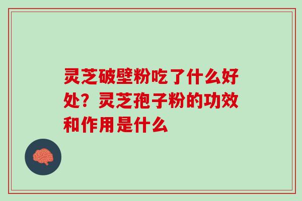 灵芝破壁粉吃了什么好处？灵芝孢子粉的功效和作用是什么