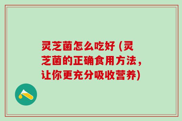 灵芝菌怎么吃好 (灵芝菌的正确食用方法，让你更充分吸收营养)