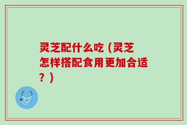 灵芝配什么吃 (灵芝怎样搭配食用更加合适？)