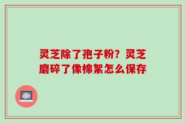 灵芝除了孢子粉?灵芝磨碎了像棉絮怎么保存 灵芝除了孢子粉?灵芝磨碎了像棉絮怎么保存