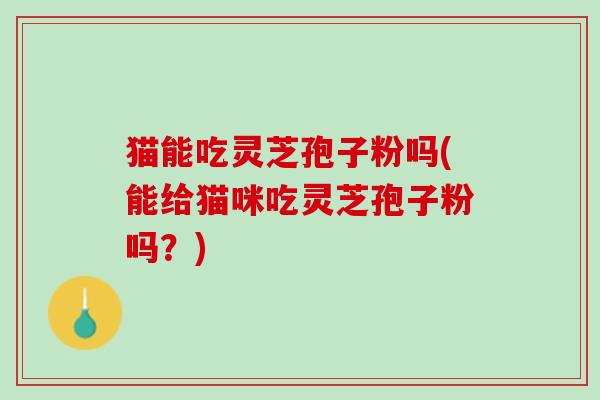 猫能吃灵芝孢子粉吗(能给猫咪吃灵芝孢子粉吗？)