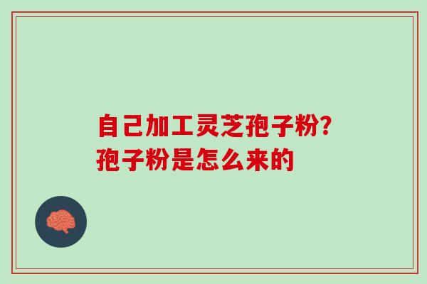 自己加工灵芝孢子粉？孢子粉是怎么来的