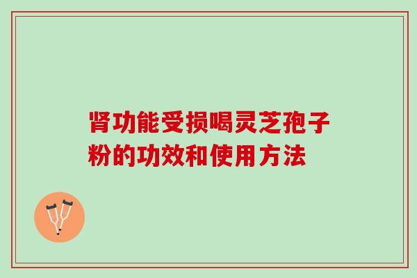 肾功能受损喝灵芝孢子粉的功效和使用方法
