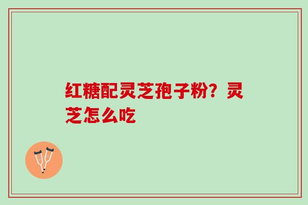 红糖配灵芝孢子粉？灵芝怎么吃