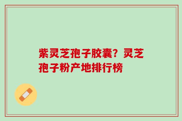 紫灵芝孢子胶囊？灵芝孢子粉产地排行榜