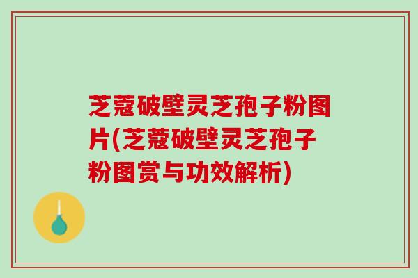 芝蔻破壁灵芝孢子粉图片(芝蔻破壁灵芝孢子粉图赏与功效解析)