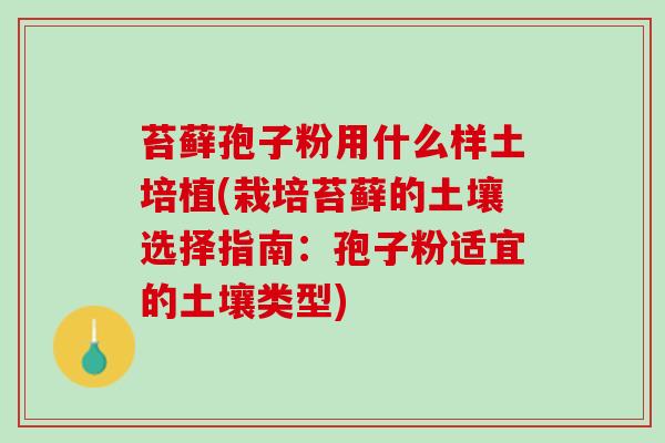 苔藓孢子粉用什么样土培植(栽培苔藓的土壤选择指南：孢子粉适宜的土壤类型)