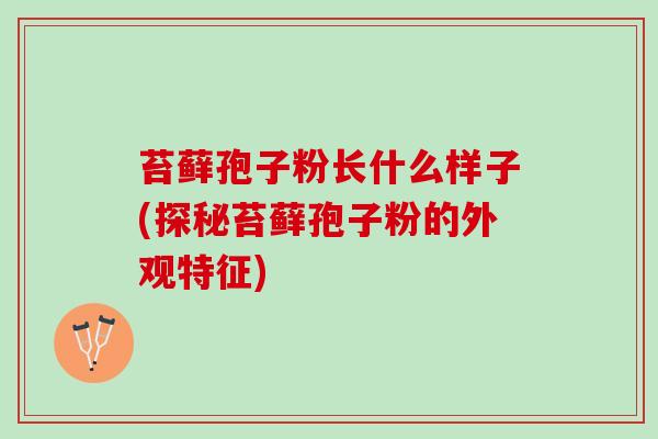 苔藓孢子粉长什么样子(探秘苔藓孢子粉的外观特征)