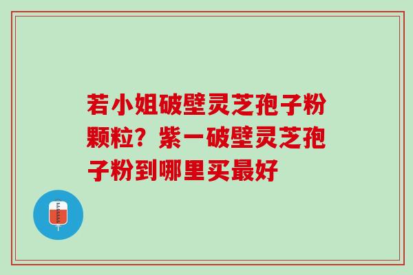 若小姐破壁灵芝孢子粉颗粒？紫一破壁灵芝孢子粉到哪里买最好